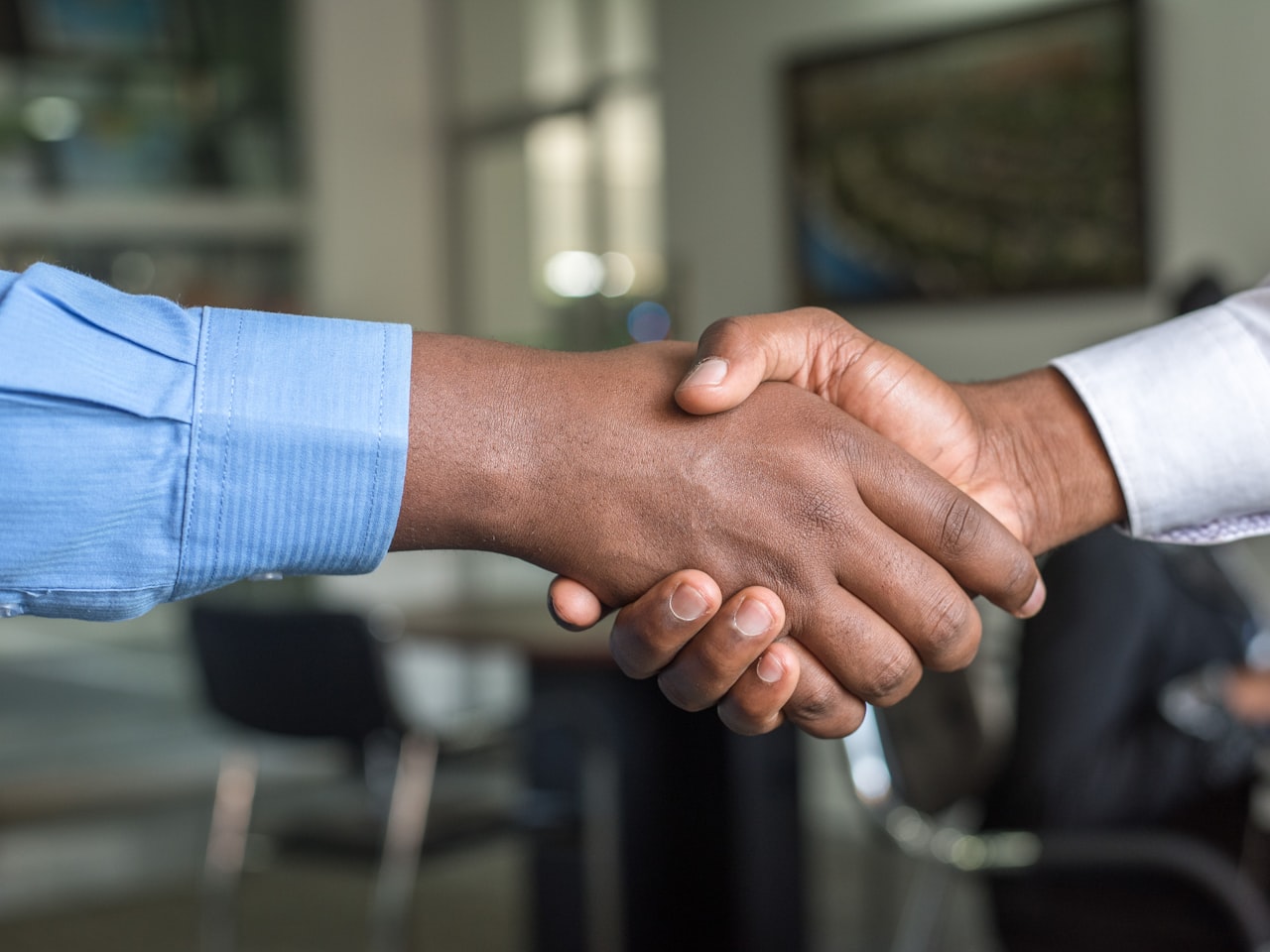 Business Lawyer Plan — OCTIS